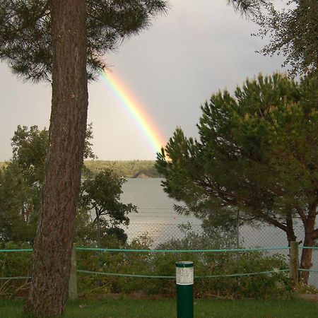 Parque De Campismo Orbitur Montargil Hotell Exteriör bild